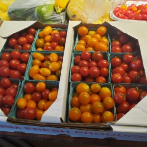 tomatoes of many colors